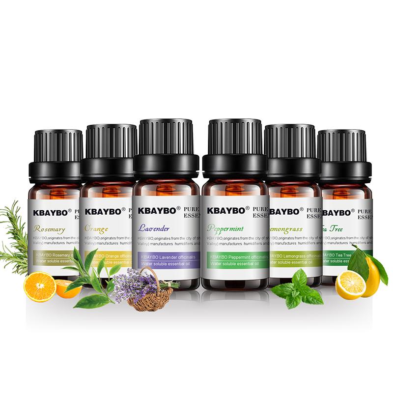 Essential Oils for Diffuser – 6-Piece Aromatherapy Set | 10ml Bottles