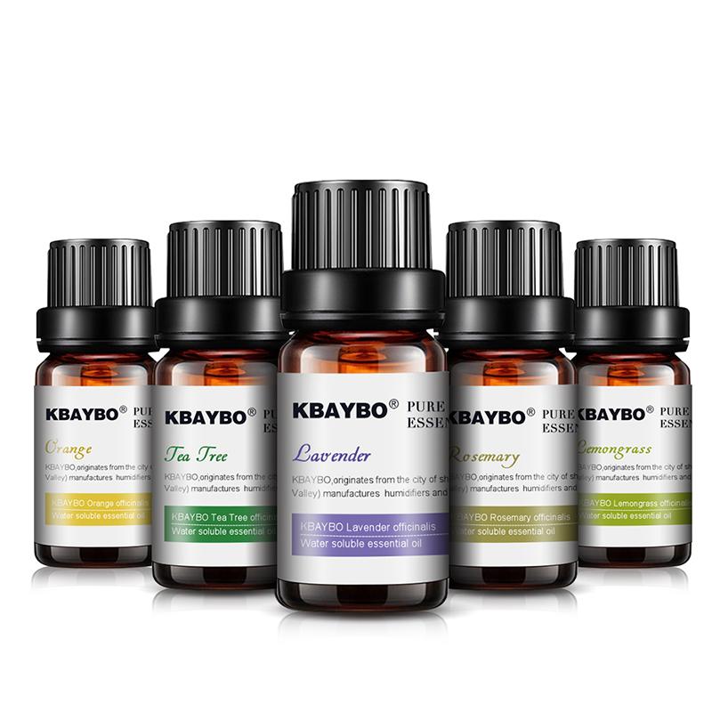 Essential Oils for Diffuser – 6-Piece Aromatherapy Set | 10ml Bottles